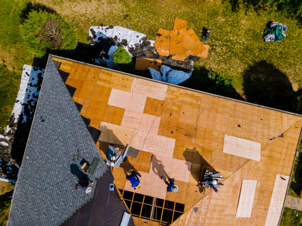 Best Roof Maintenance Services  in Sneedville, TN